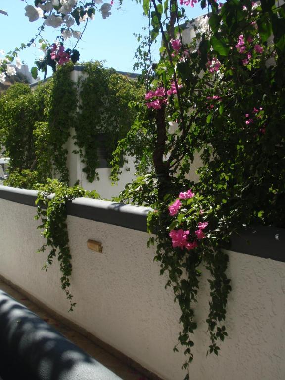 Fevro Hotel Ajía Galíni Szoba fotó