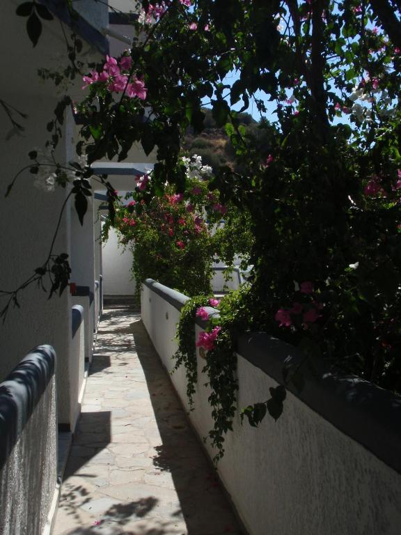 Fevro Hotel Ajía Galíni Szoba fotó
