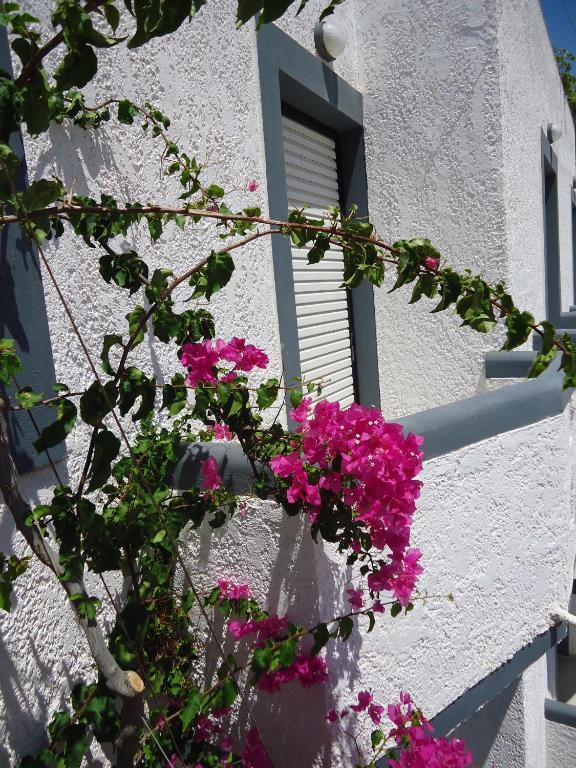 Fevro Hotel Ajía Galíni Kültér fotó